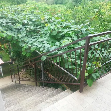 Ranka Trebinje